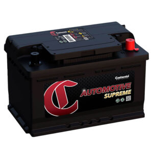 Continental Group 42 Performance Automotive Battery (42-P)