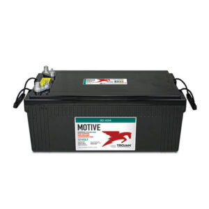 Trojan Group 8D Dual-Purpose AGM 12 Volt Battery (8D-AGM)