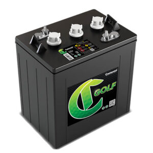 Continental Group GC2 Heavy Duty Golf Cart Battery (GC2-6V-HD)