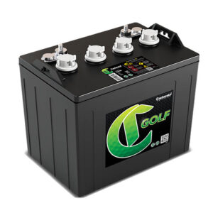 Continental Group GC8 Golf Cart Battery (GC8-8V)